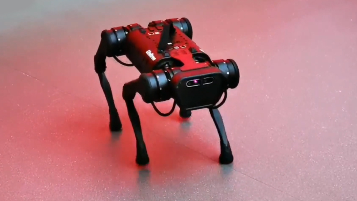 red robot dog