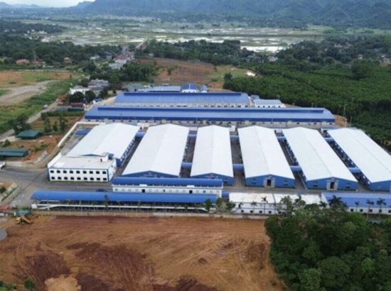 NHÀ MÁY GIÀY THIÊN DIỆU