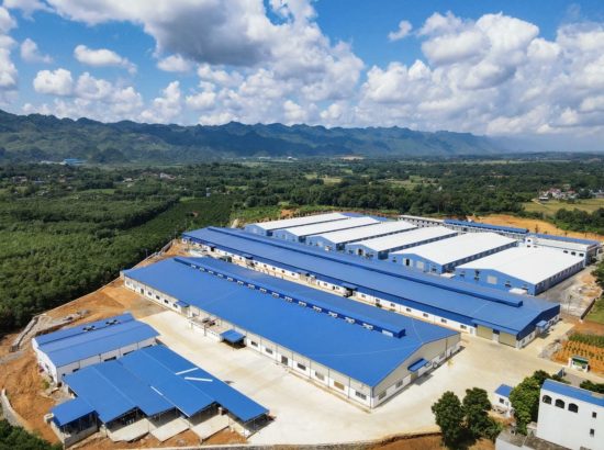 NHÀ MÁY GIÀY THIÊN DIỆU